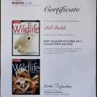 Bill has been honoured to be included in the Featured "Special Edition" Magazine as the Best Wildlife Images for 2011. This is the Collectors Edition. 