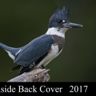 " Bold Belted Kingfisher " ..Moira Ontario Canada 

